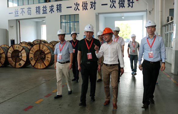 靖江市、溧陽(yáng)市青商會(huì)齊聚上上電纜參觀交流