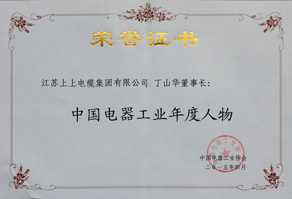 丁山華榮獲“中國電器工業(yè)年度人物”稱號(hào)