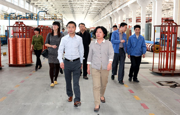 江蘇省環(huán)保廳總工程師劉建琳來上上集團調研
